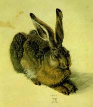 Picture of "The Young Hare" by Durer