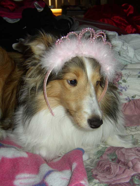 Abby
