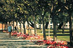 picture of Cal State Northridge