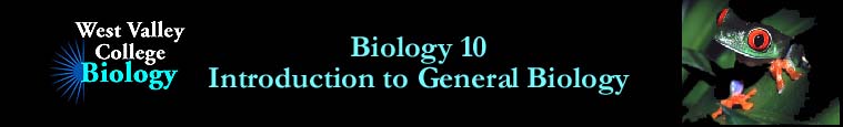 Biology 10 - Introduction to General Biology