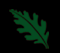 oak leaf logo