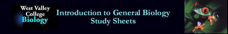 Introduction to General Biology - Study Sheets