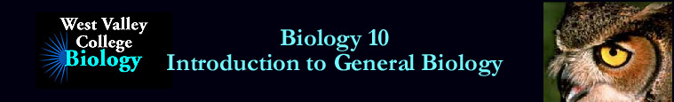 Biology 10 - Introduction to General Biology