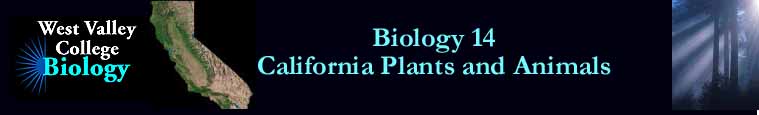 Biology 14 - California Plants and Animals