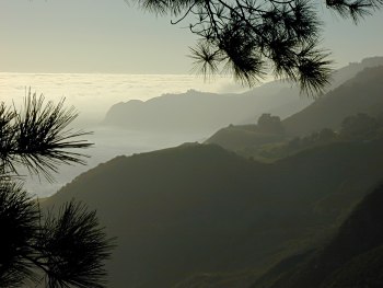 The California Coast