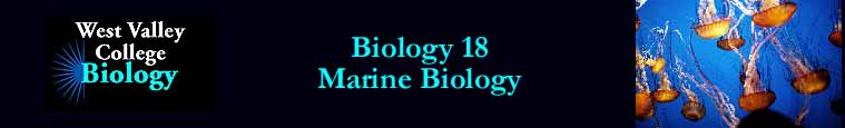Biology 18 - Marine Biology