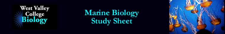 Marine Biology - Study Sheets