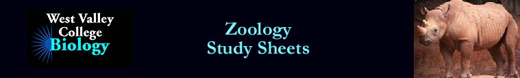 Principles of Animal Biology - Study Sheets