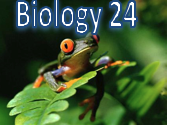 Biology 24: Contemporary Biology