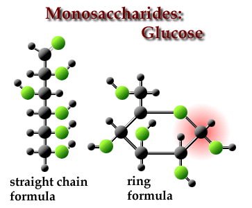 Glucose - an example of a monosaccharide