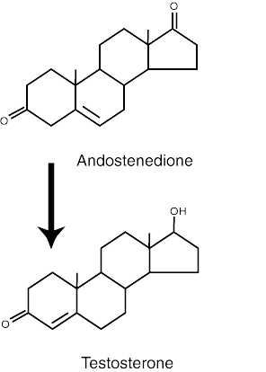 Steroids - testosterone