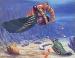The Burgess Shale in British Columbia includes a high diversity of early animals from the Cambrian period.