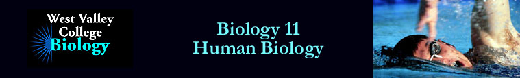 Biology 11 - Human Biology