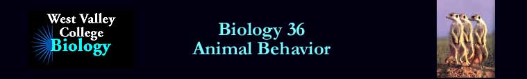 Biology 36 - Animal Behavior